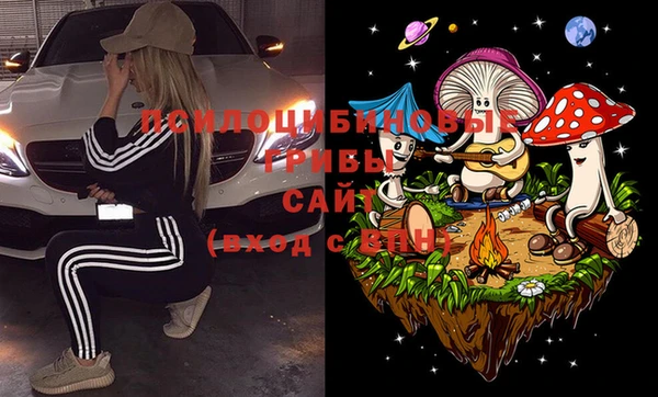 СК Волоколамск