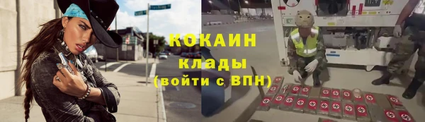 ГАЛЛЮЦИНОГЕННЫЕ ГРИБЫ Вязники